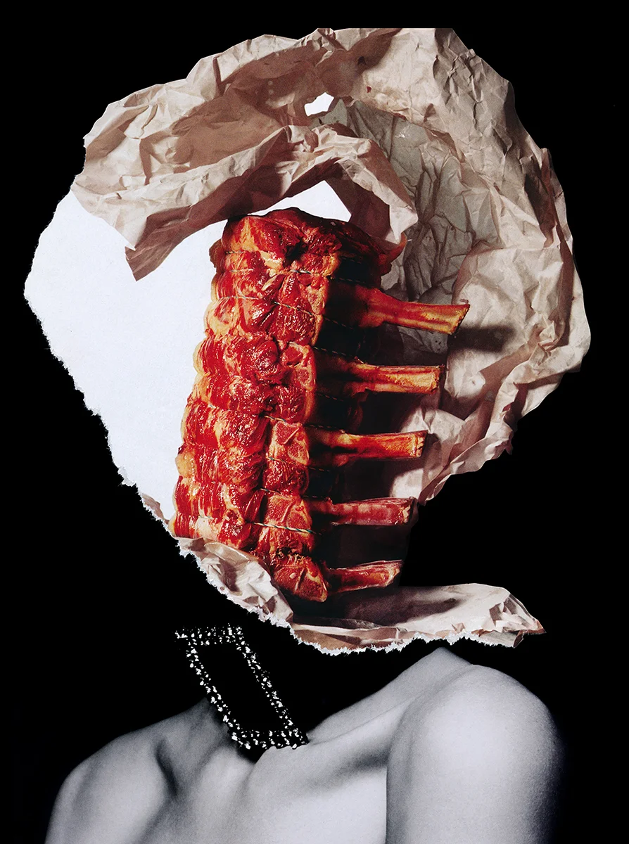 Hollyannebuck_Collagism_Nice_Rack.jpg