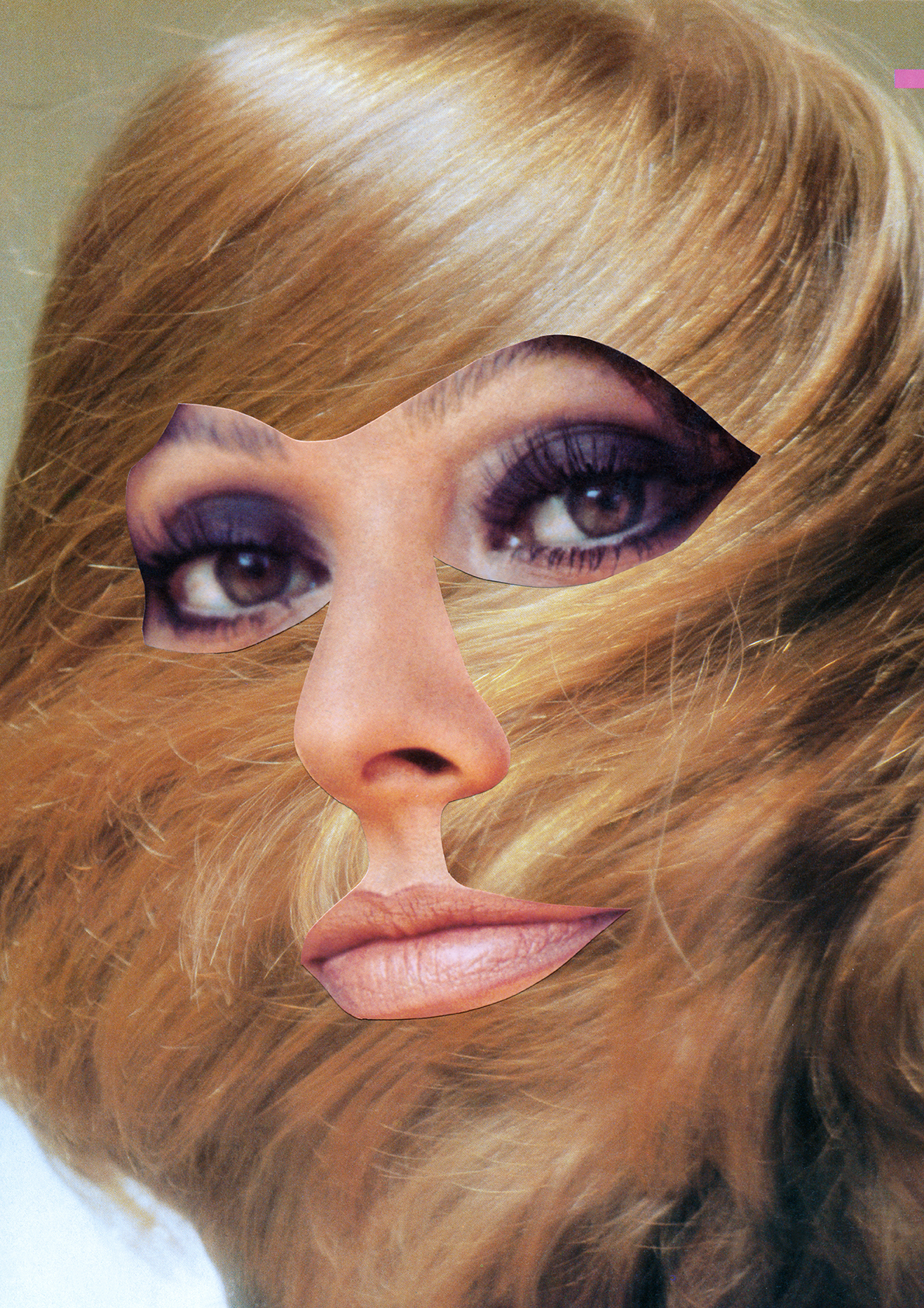 Collagism_Chewy Loren.jpg