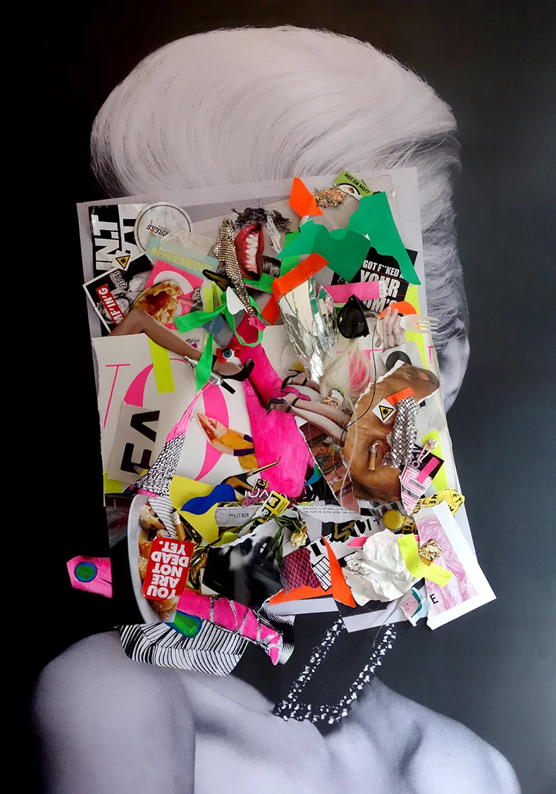 Hollyannebuck_ditchbitch_collagism.jpg