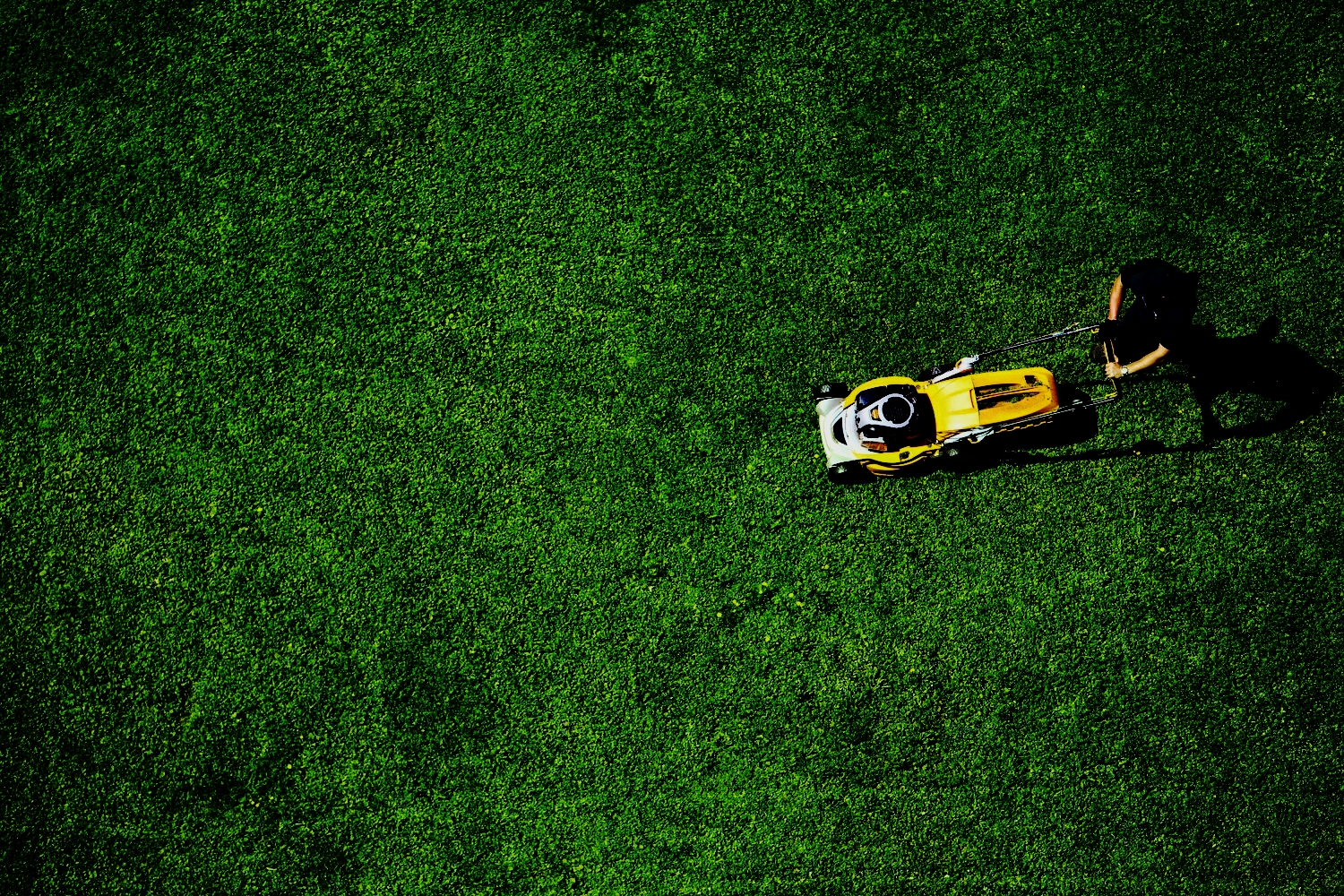 AIRMOW Being last to market was used as a strong newshook for this on-demand lawn mowing service. We highlighted Airmow’s world first satellite technology as the necessary innovation to make it happen. B2B press saw contractor registrations exceed client expectations by 250%.