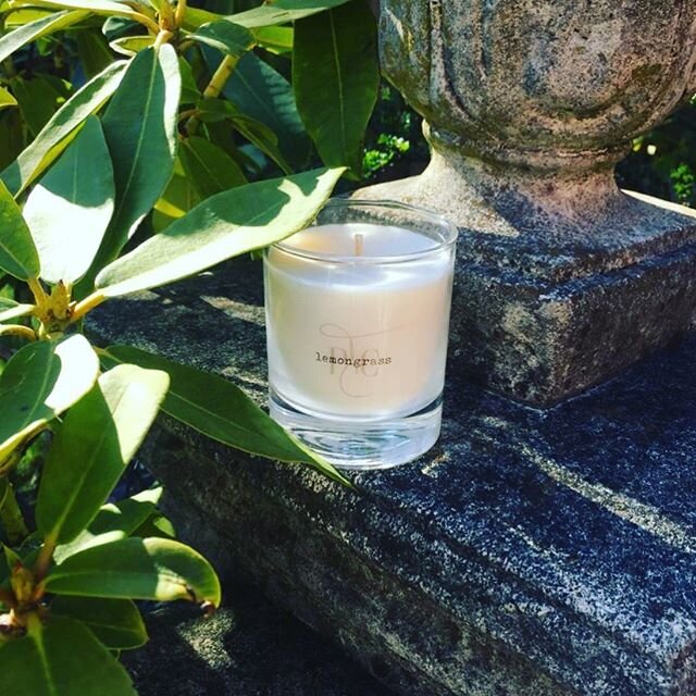 Happy Monday, everyone! 😍 #stayhome #staysafe #homedecor #homeblogger #candles #vegan #beautifulhomes #localbusiness #handmade #soycandles #outdoors #indoors #home #makeyourhouseahome #nature #natural