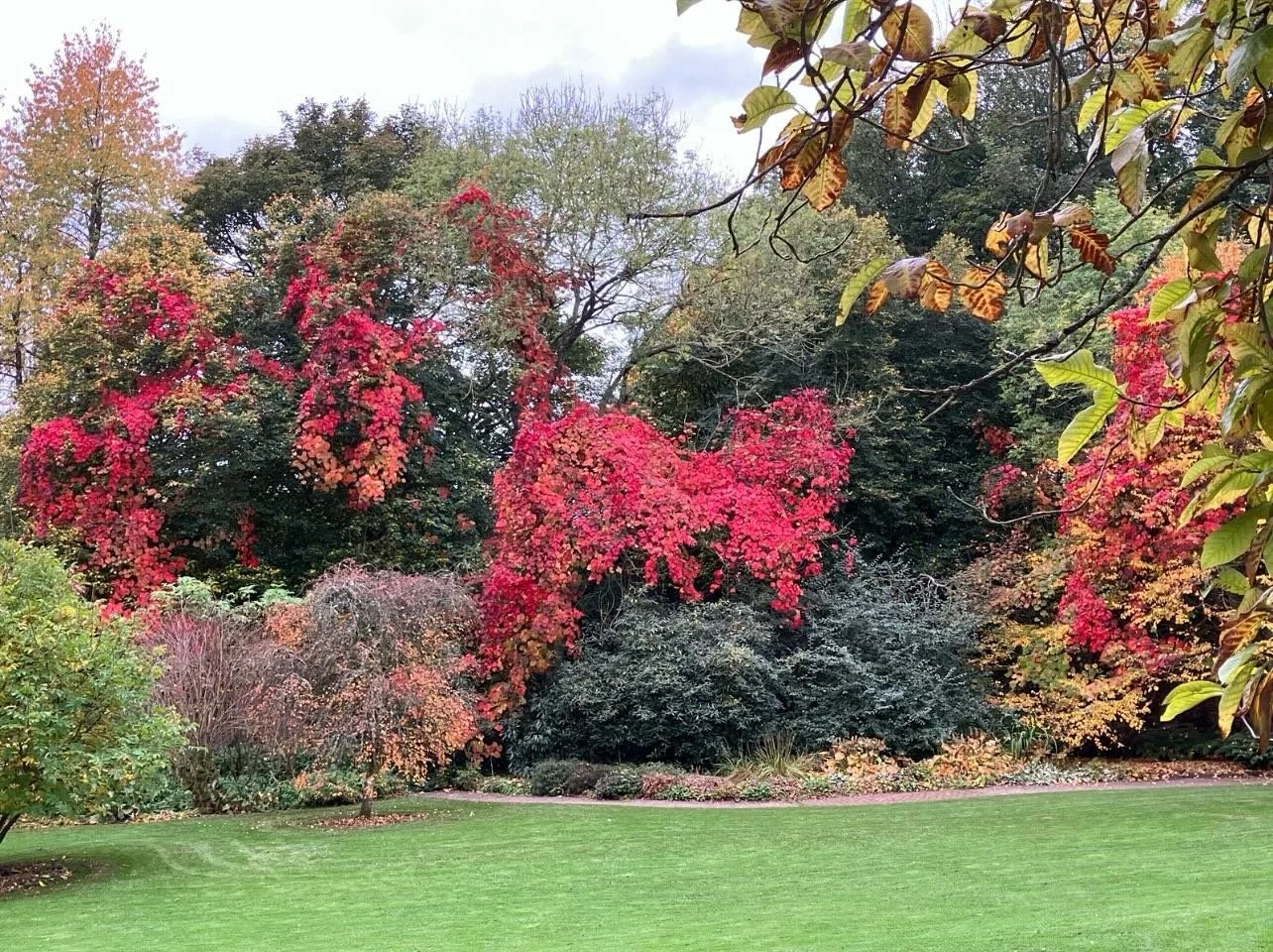 Beautiful colours @ National Trust Wallington
