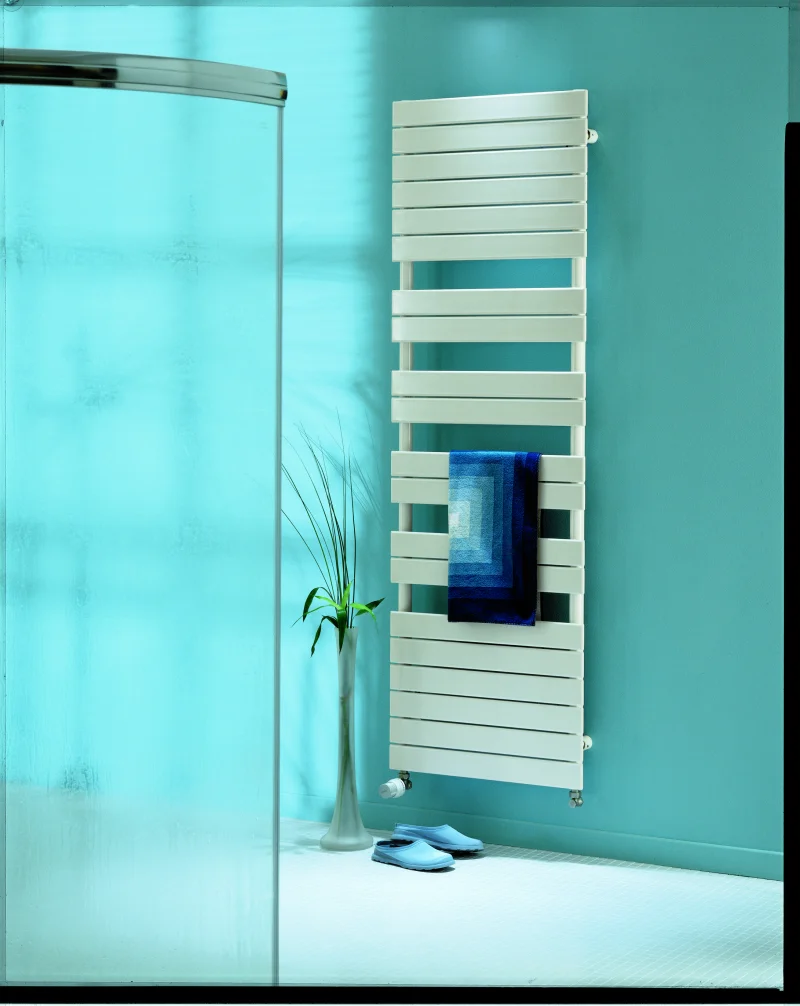 Zehnder-Regate.jpg