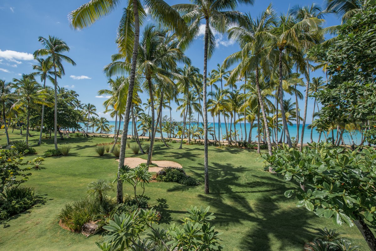Beachfront View