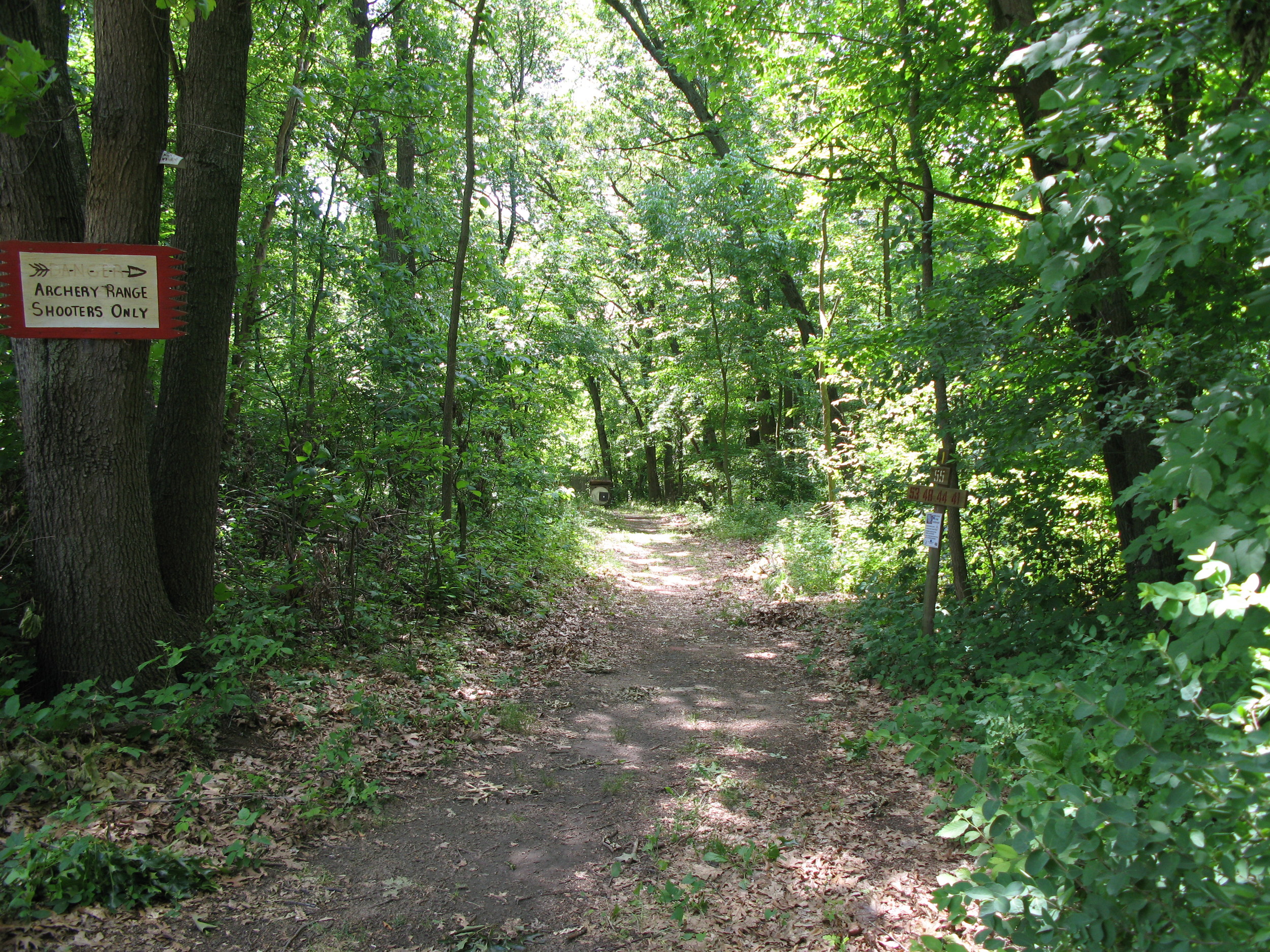 Trail1.jpg