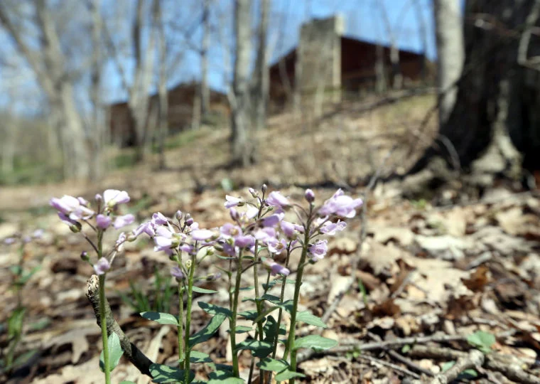 View Pictures of Wildlife at Izaak!