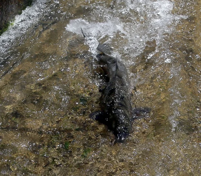 Welcome to New Website!