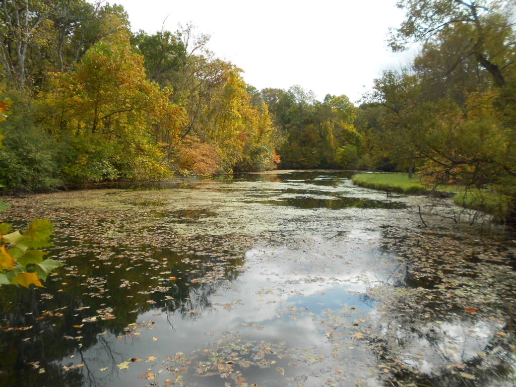 Pond Clean-Up Day Scheduled for Saturday, October 24th – Come Out and Help!