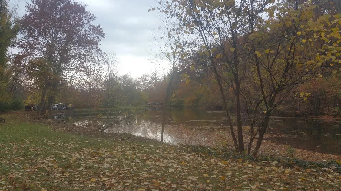 Thanks to Our Pond Clean-Up Volunteers!