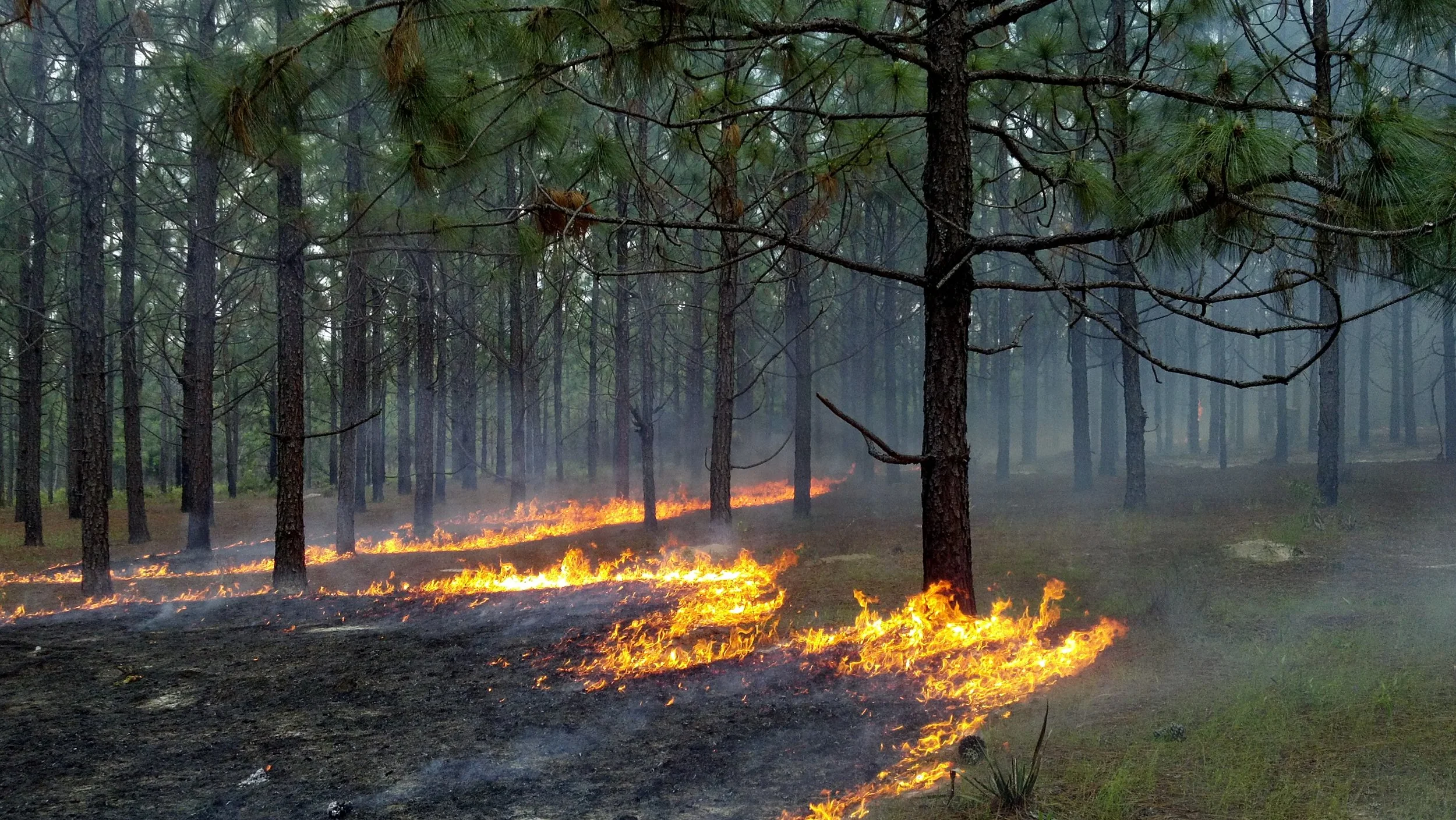 Dine & Learn - How Humans Modify Landscapes - March 21