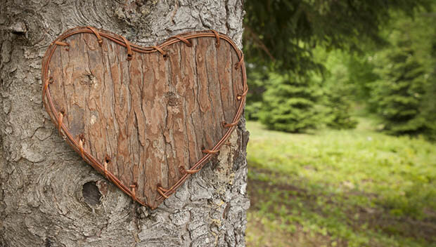 Valentine's Day Dinner &amp; Dance