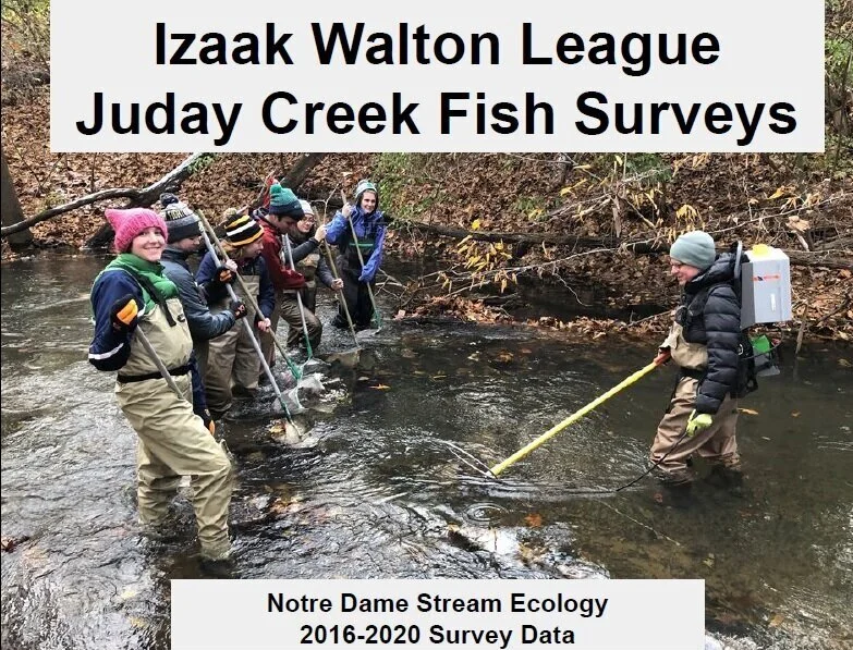 Juday Creek Stream Ecology Report
