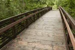 A Happy Arch is Your Best Bridge.jpg