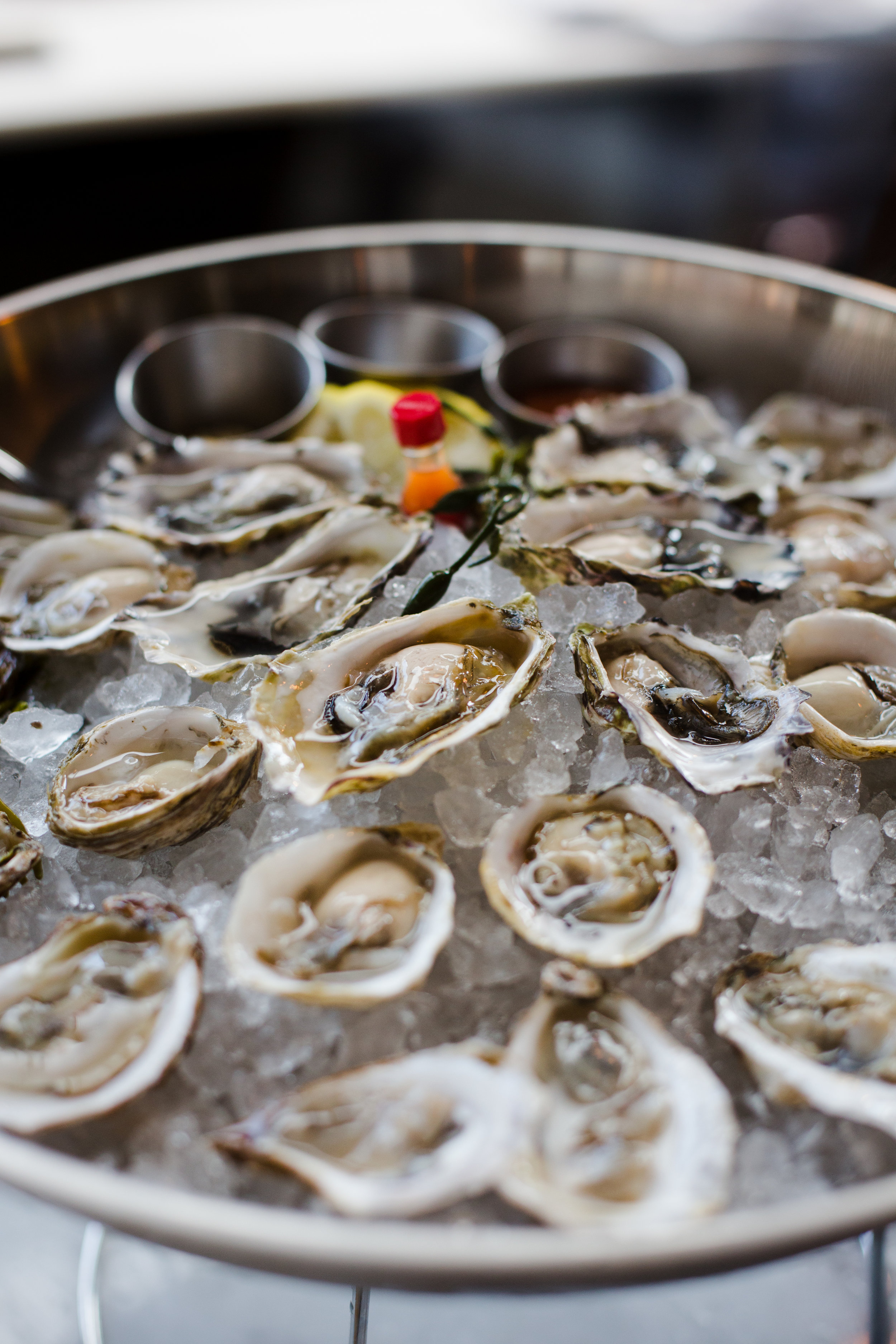 Oysters1.jpg