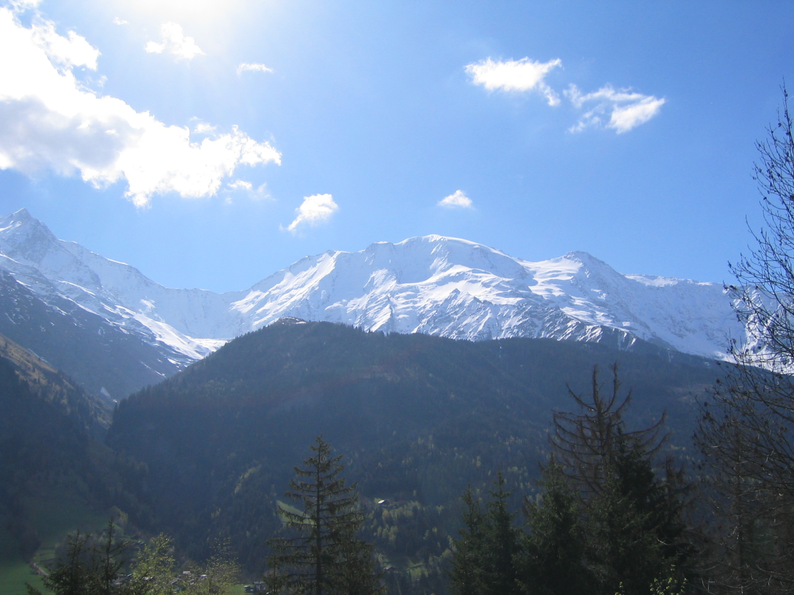 100_0010.JPG