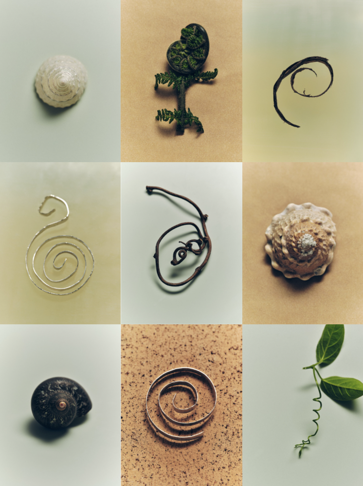 Screenshot 2026-02-25 at 11.49.51 AM.png