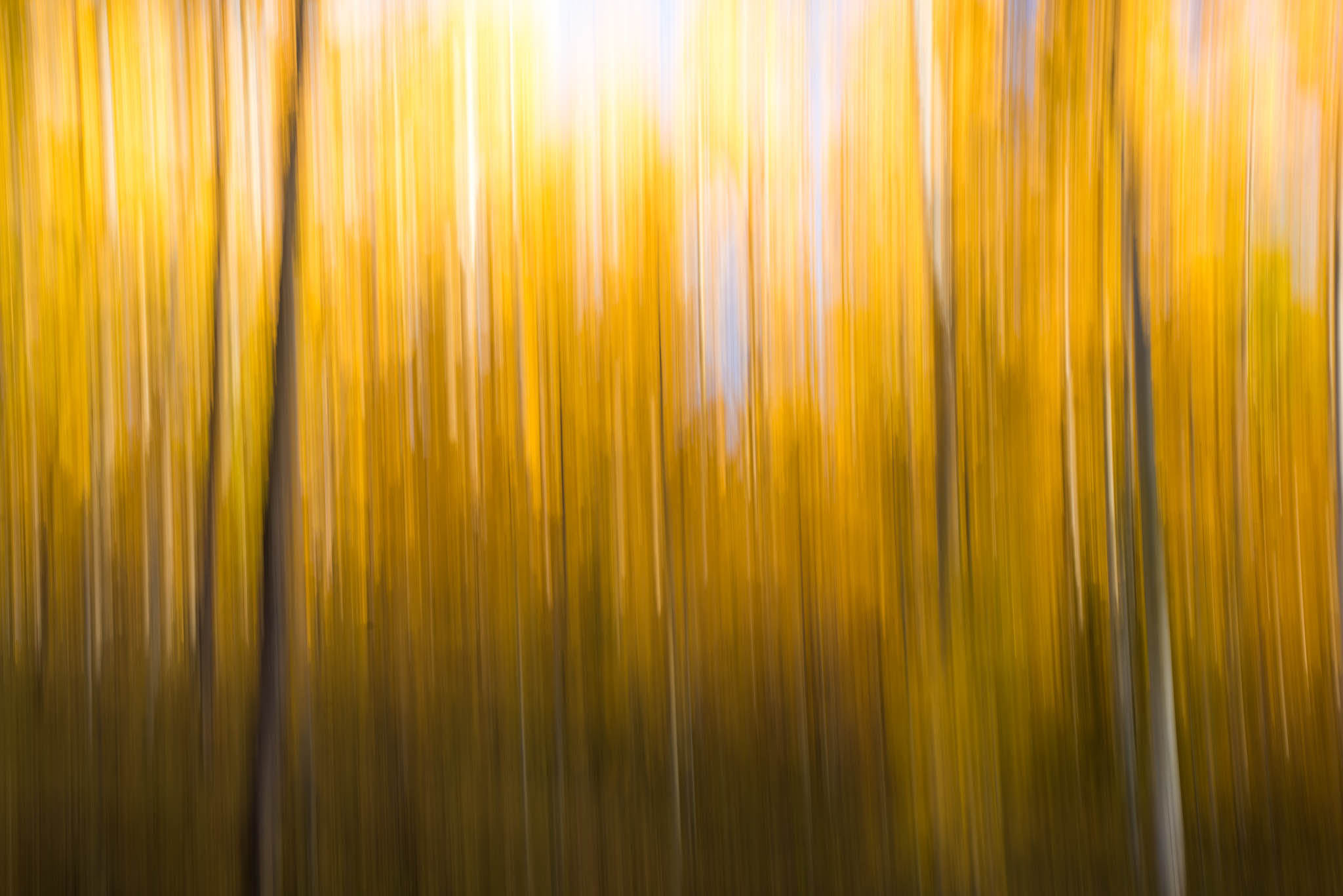 Aspen-Lines-10.jpg