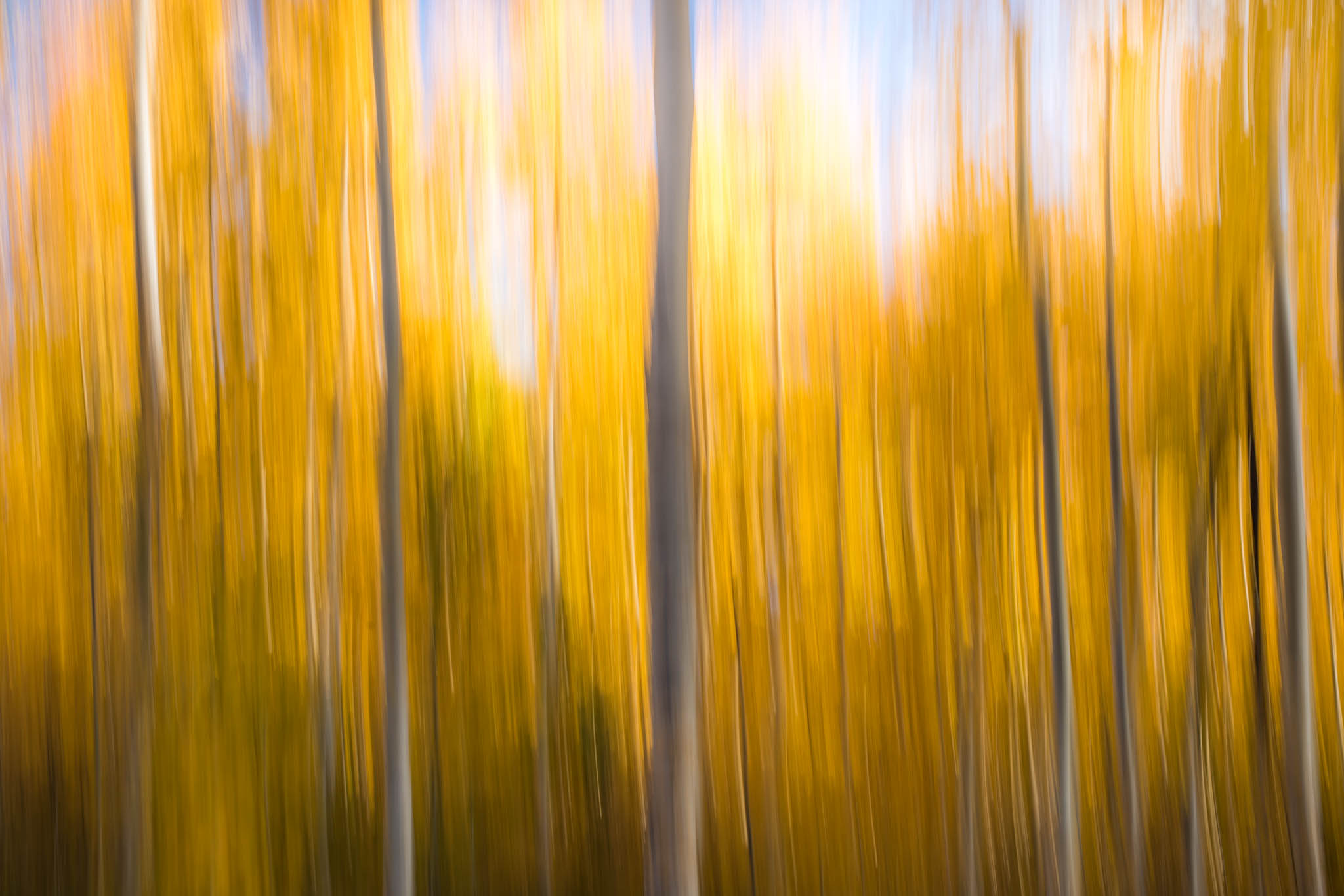 Aspen-Lines-11.jpg