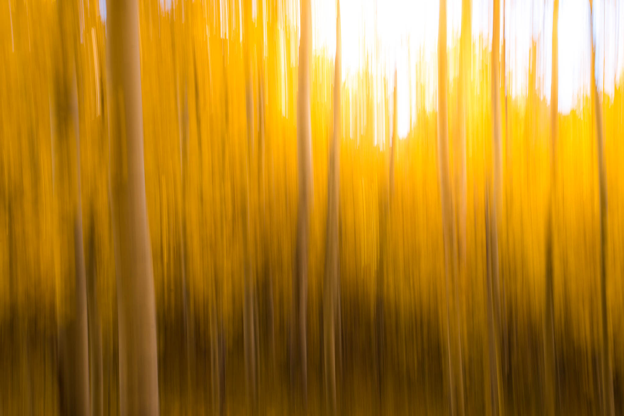 Aspen-Lines-15.jpg