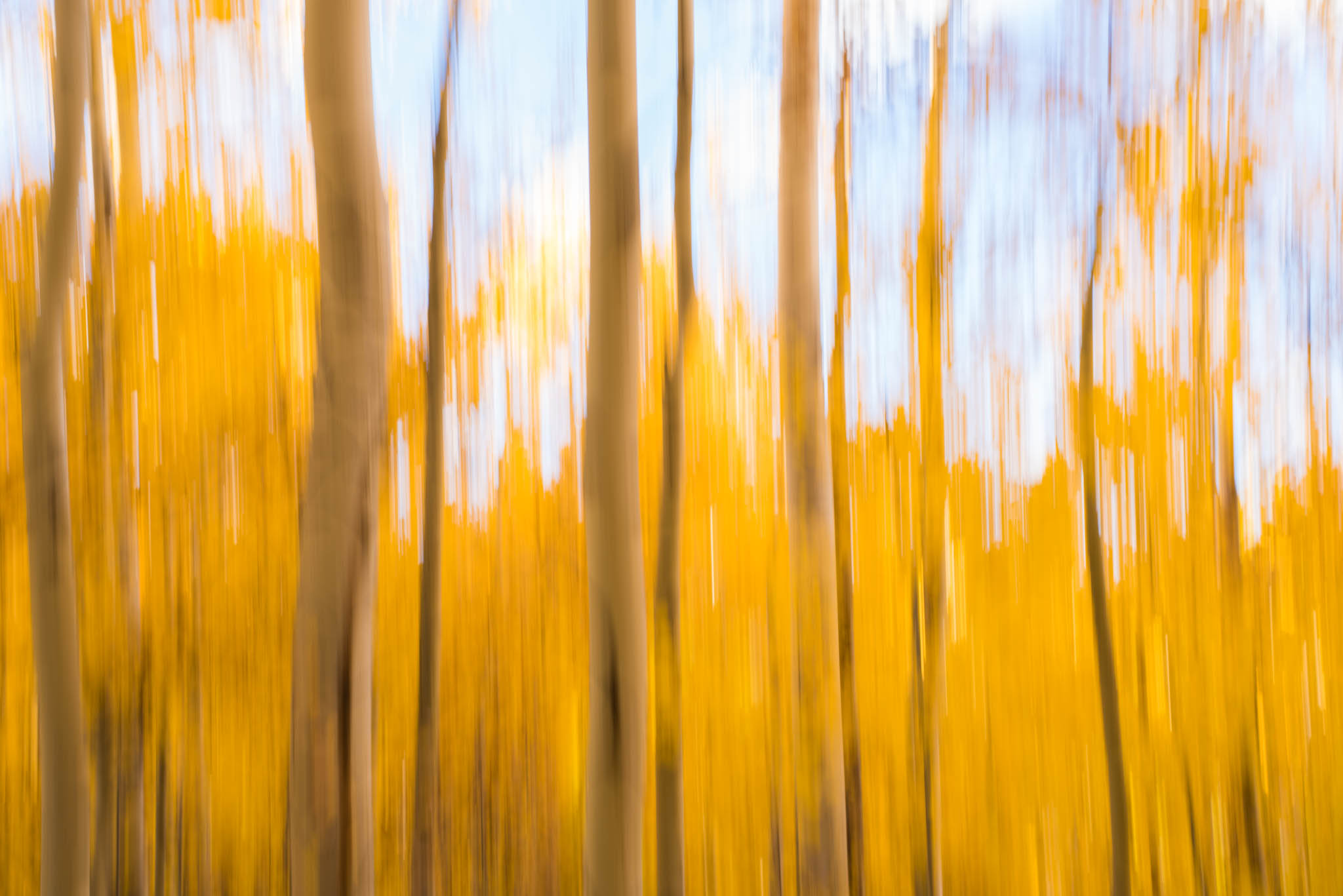 Aspen-Lines-16.jpg