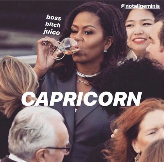 Capricorn meme by @notallgeminis Instagram acct, via Pinterest.