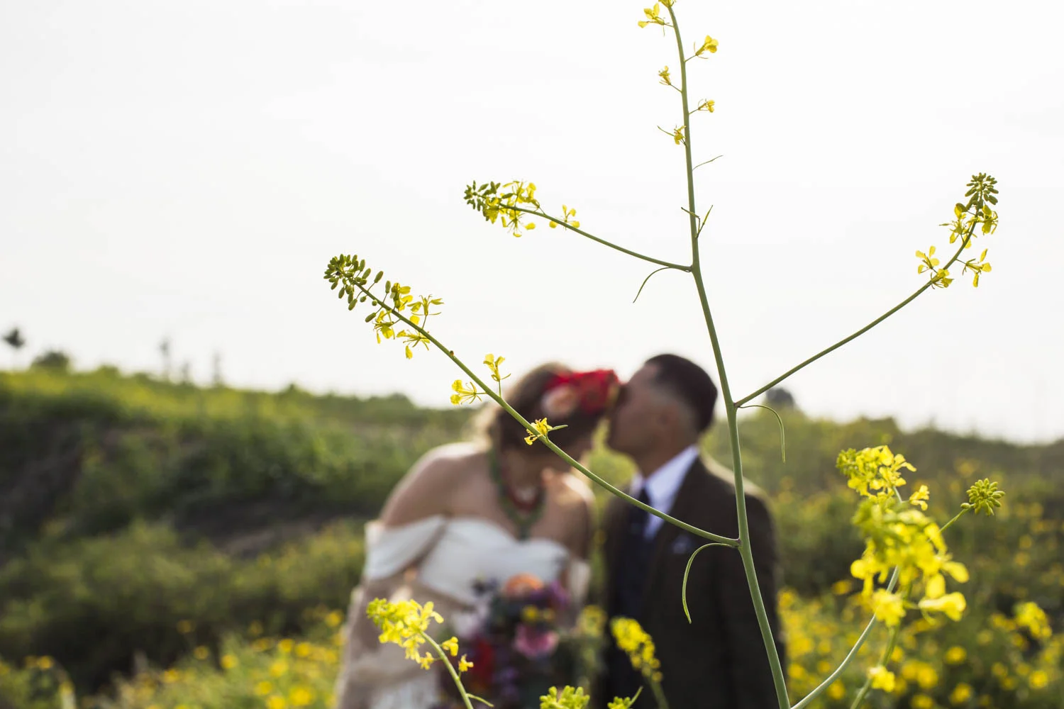 KNC_wedding-775.jpg