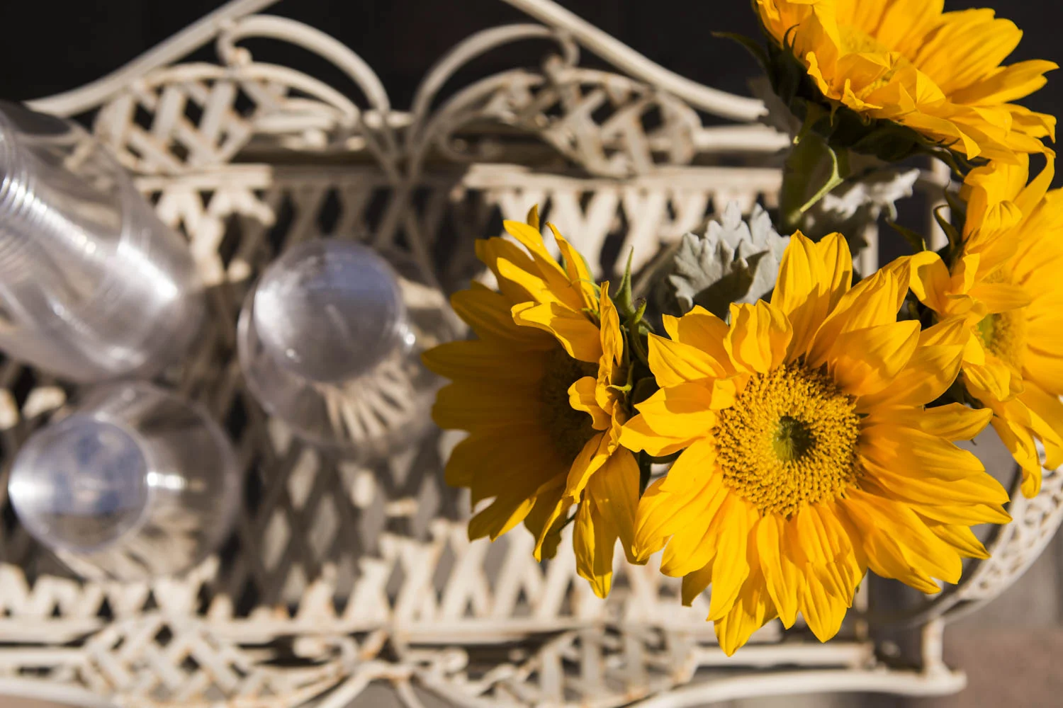 KNC_wedding-1545.jpg