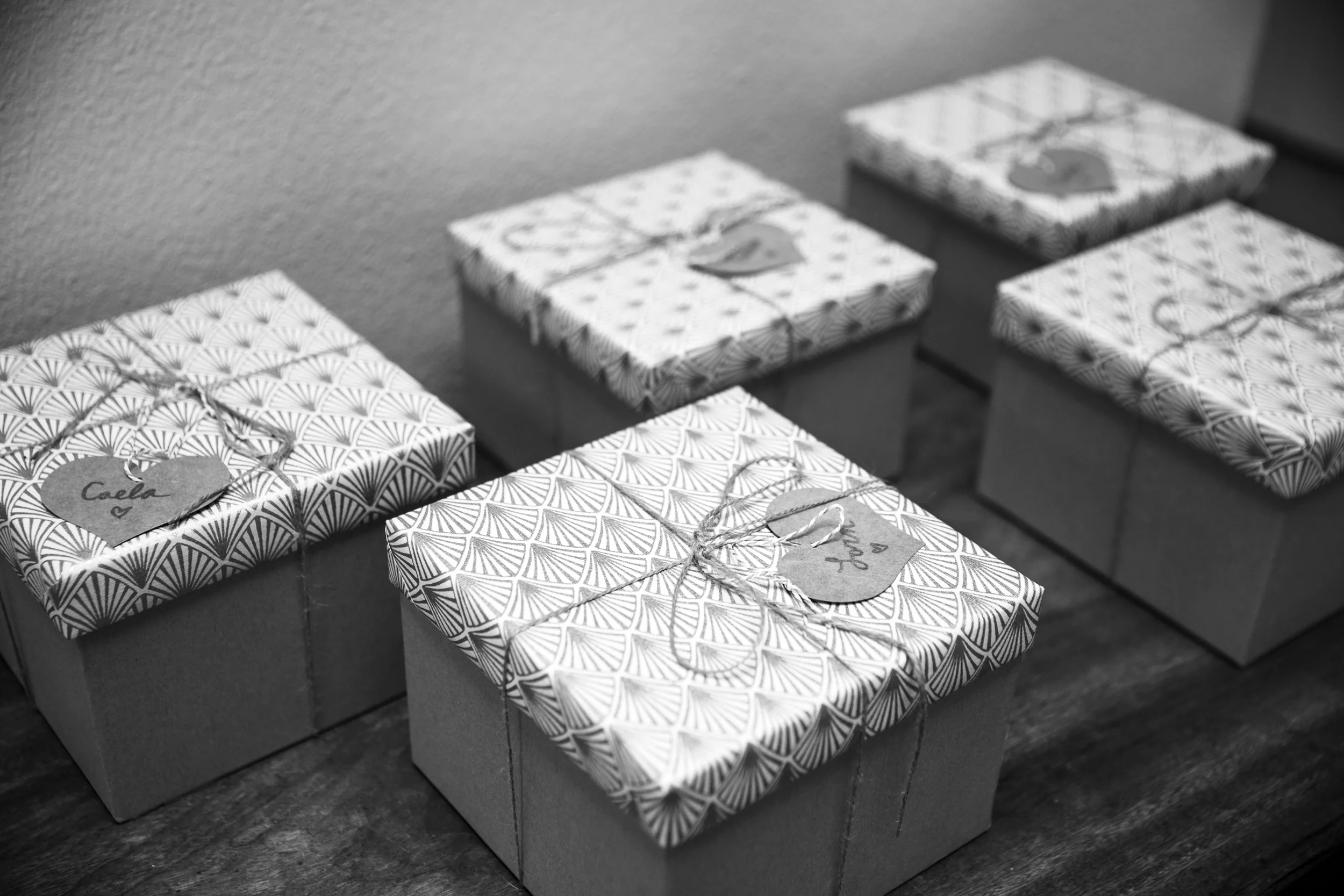 Sierra-n-Austin_wedding_selects-3.jpg