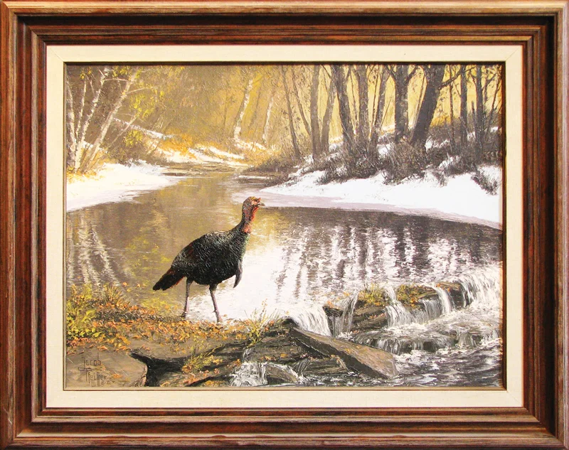 Pfeiffer_WildTurkey.jpg