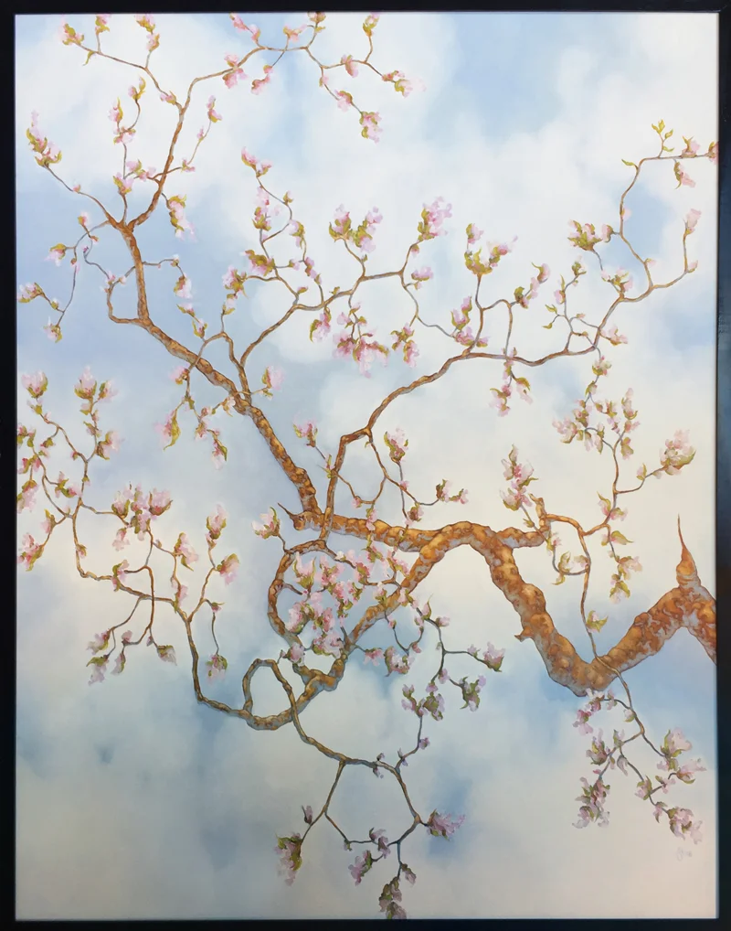 Hayward_Magnolia.jpg