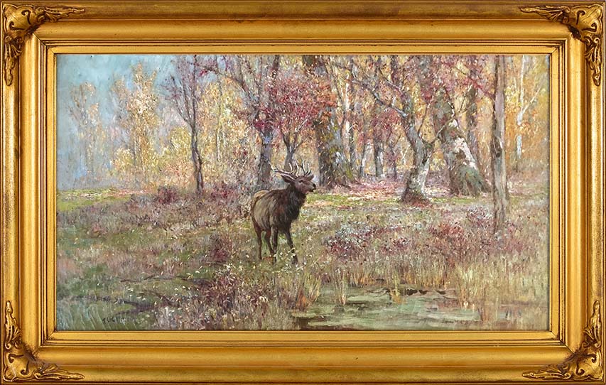 Lindsay_Elk_DH978_low.jpg