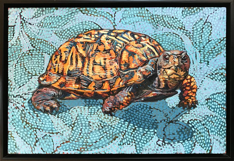 Shiels (Turtle)_low.JPG