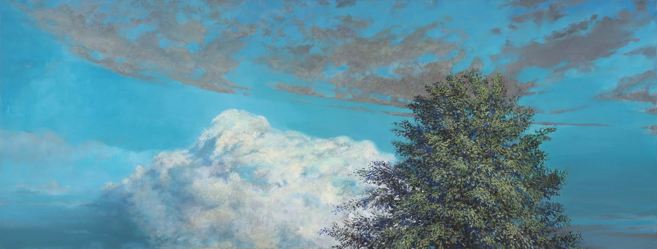Tapley_Sheldon_Clouds,Tree_low.jpg