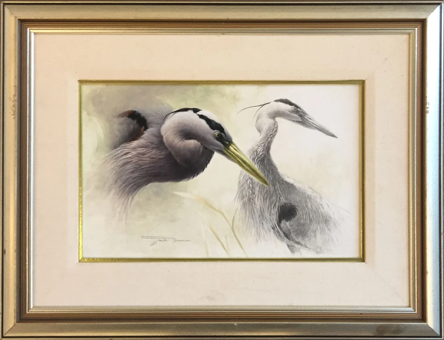 Dumas_GreatBlueHeron_low.jpg