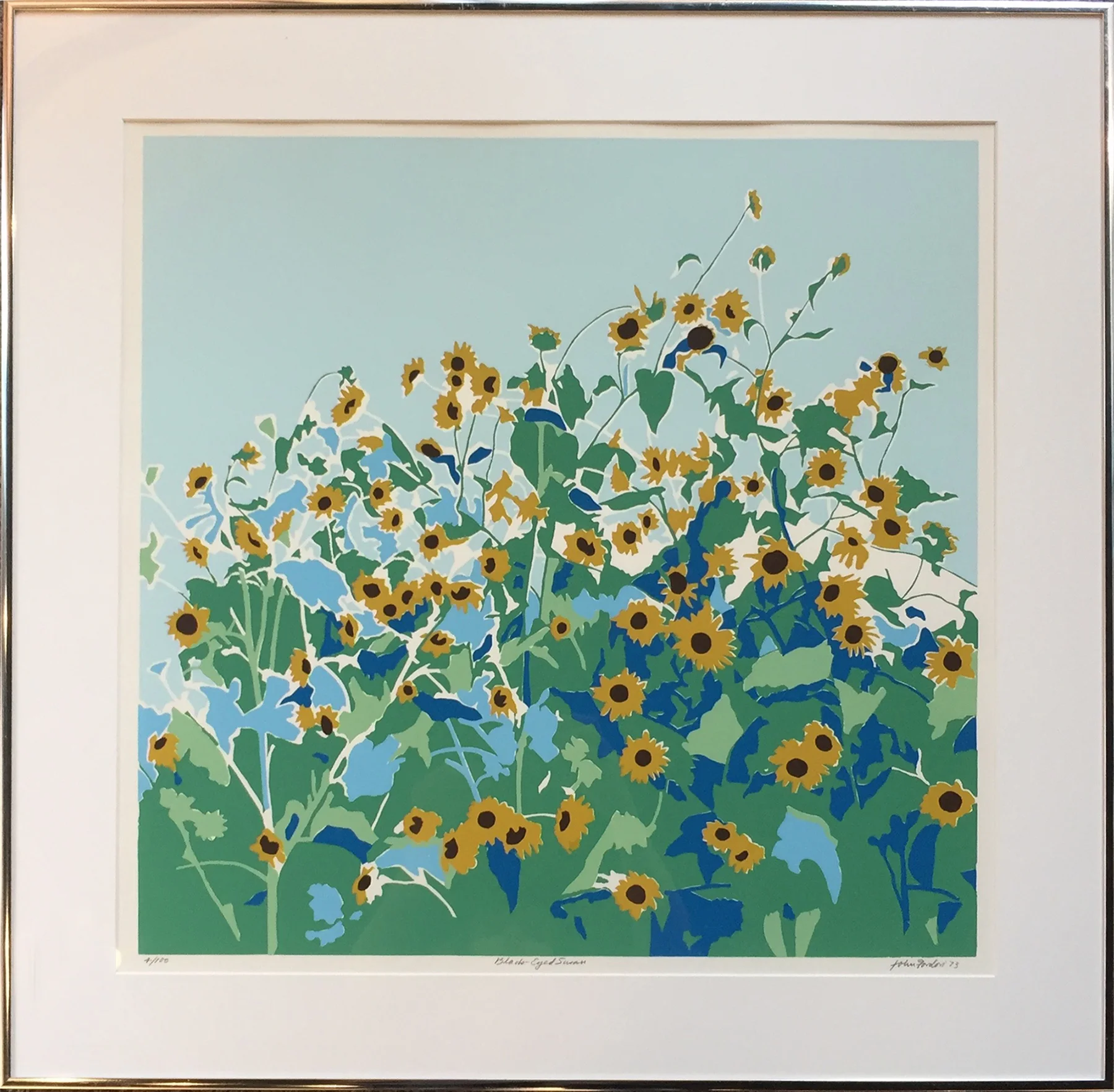 Gordon_BlackEyedSusans_0956.jpg