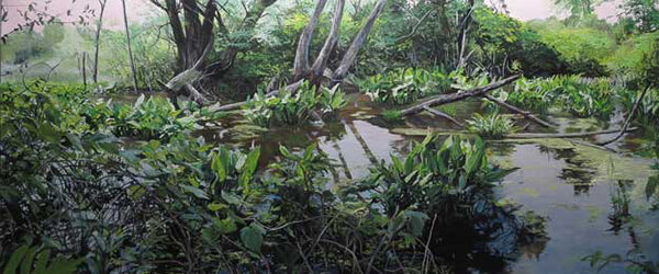 Muente_coyahogavalleynationalpark.jpg