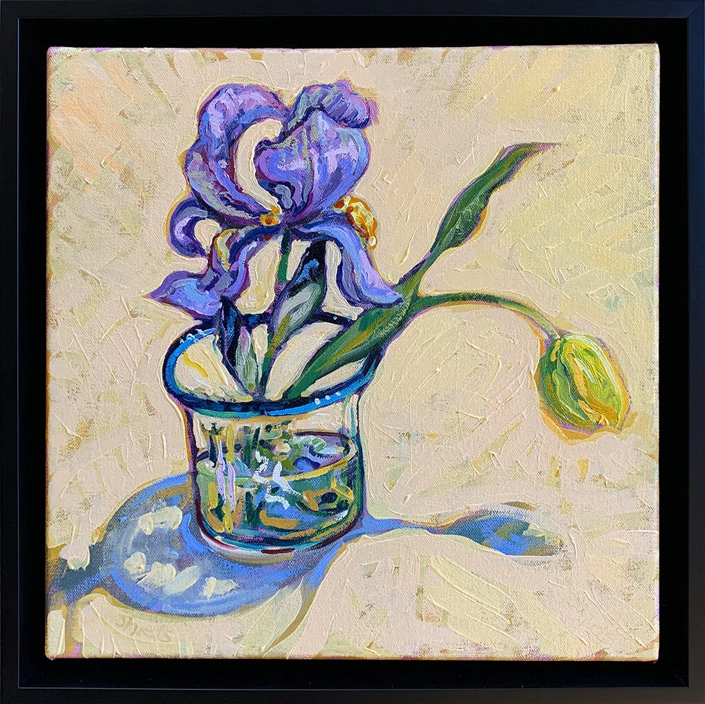 Shiels.SpringIrisTulip.DH1804.HR