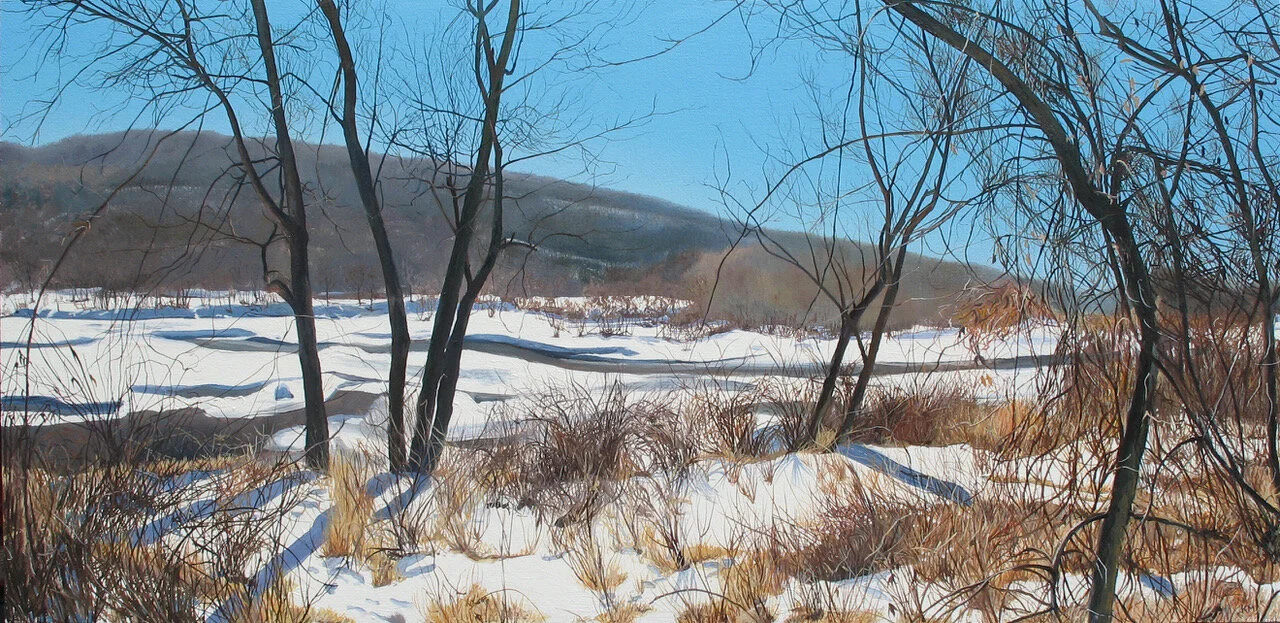 Muente.Winter, Delaware Water Gap.jpeg