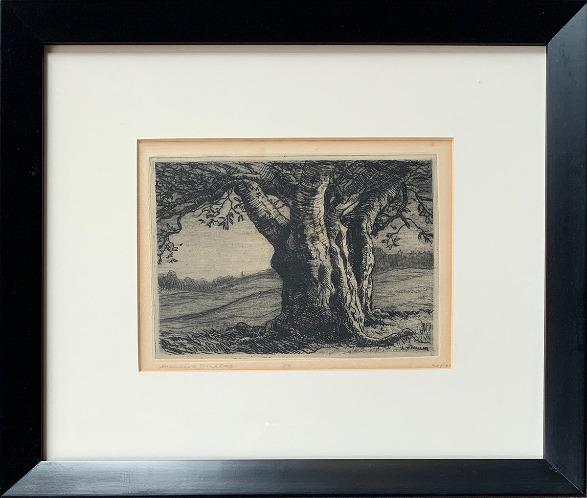 Millar.BigTree.DH2064.HR