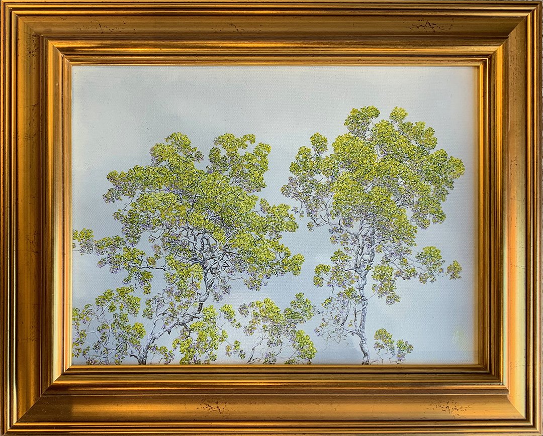 Hayward.TwoTreesCamargo.DH2810.HR