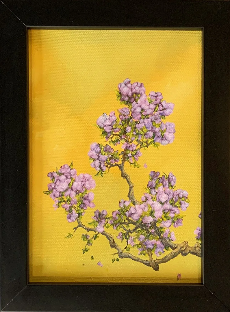 Hayward.Sumire.DH3008.HR
