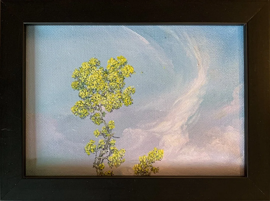 Hayward.SatomiII.DH3003.HR