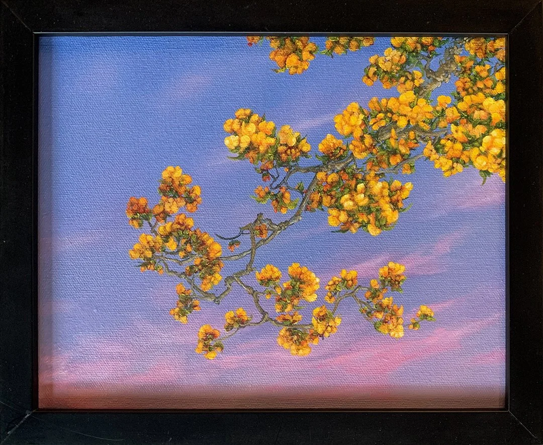 Hayward.Gella.DH3002.HR