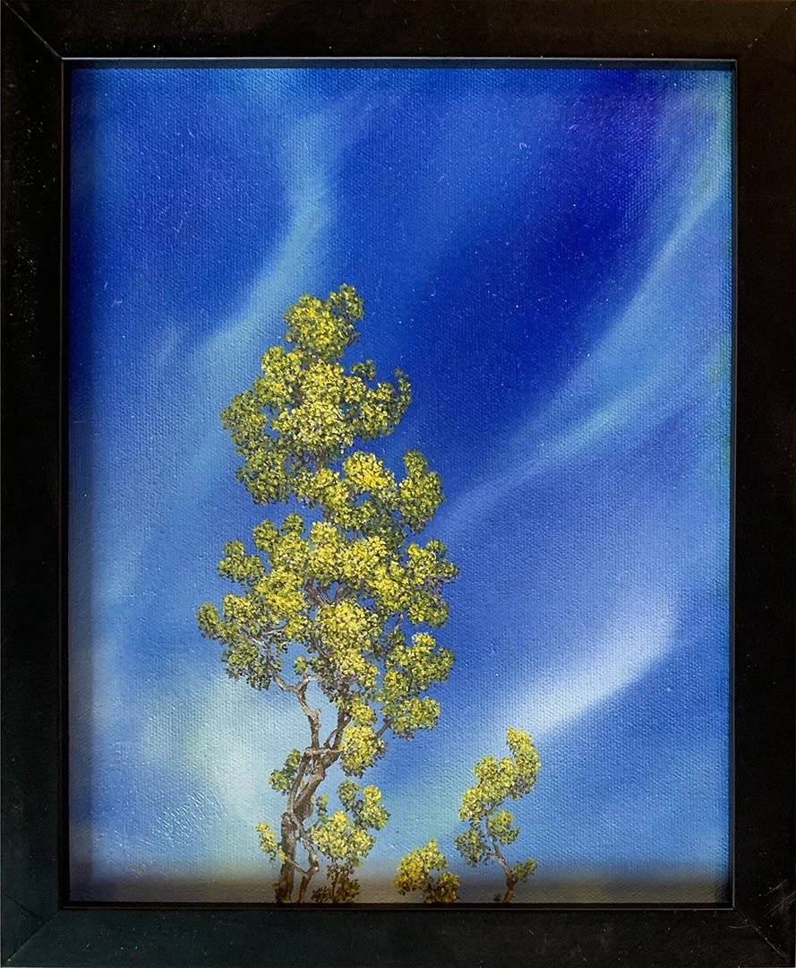 Hayward.SatomiI.DH3001.HR