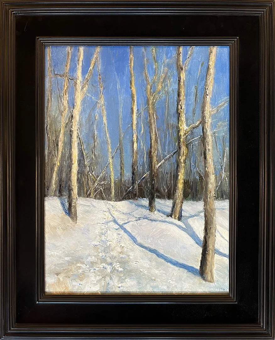 Daly.SycamoresinSnow.DH3387.LR.jpg