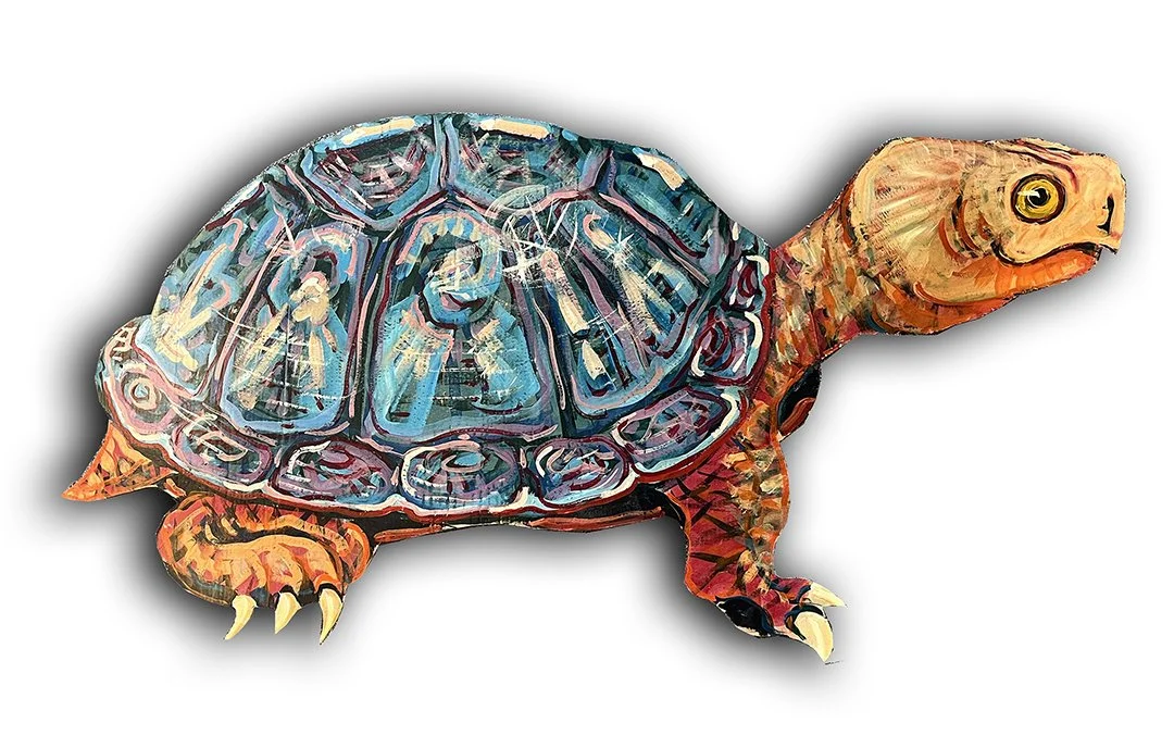 Shiels.TurtleCutOut.DH3565.LR.jpg