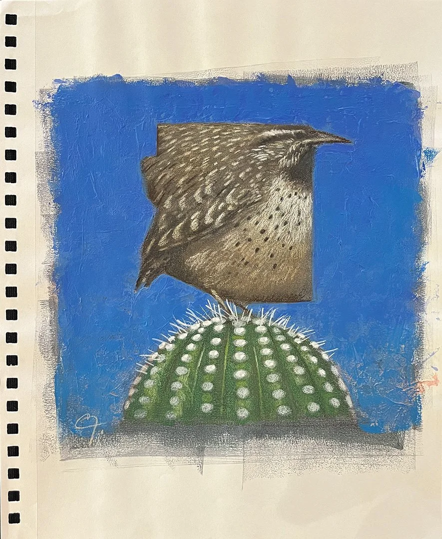 Payne.CactusWren.CFP139.LR.jpg