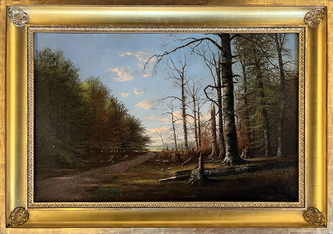 Snyder.IntoTheClearing.DH4028.LR.jpg