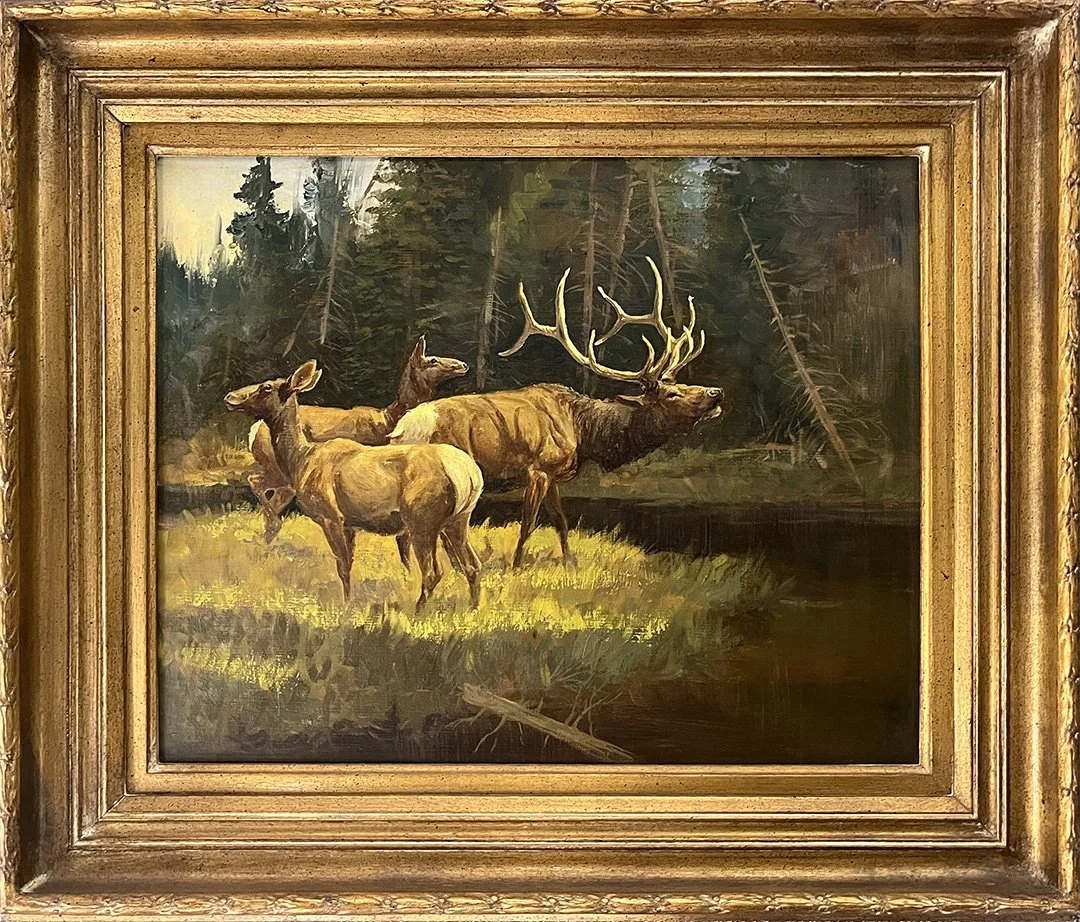 Phippen.Elk.DH3978.LR.jpg