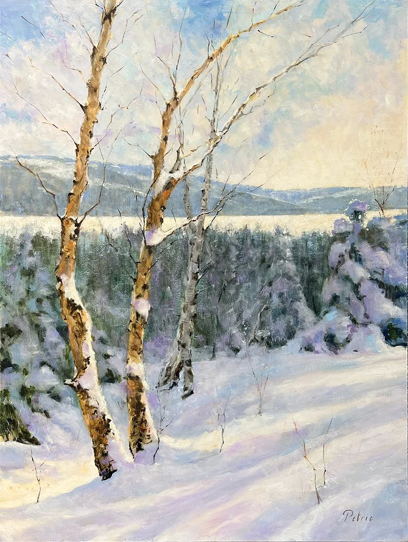 Petrie.BirchesInWinter.DH4150.LR.jpg